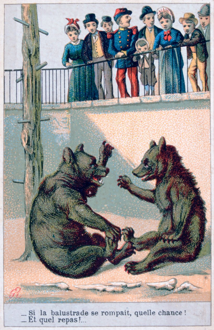 Cartolina zoologica francese, XIX secolo da Unbekannt
