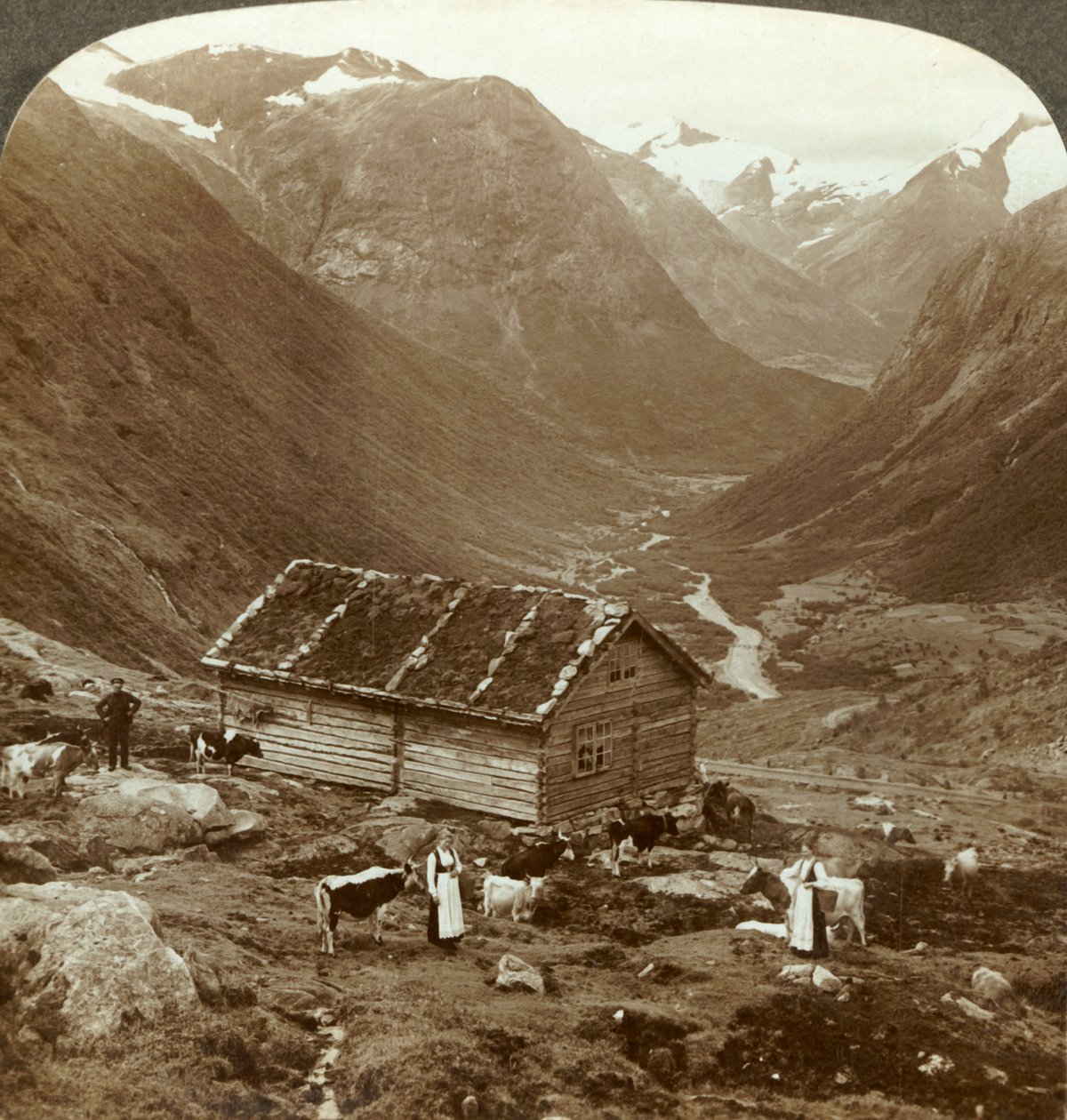 Dalla locanda di montagna a Vidde saeter giù per la valle di Vidde - Monte Skaala in lontananza a destra, c1905 da Unbekannt