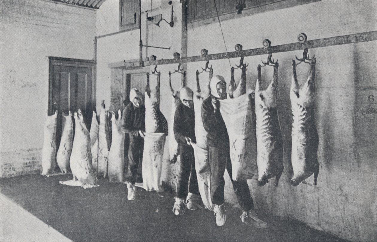 Carne congelata, 1923 da Unbekannt