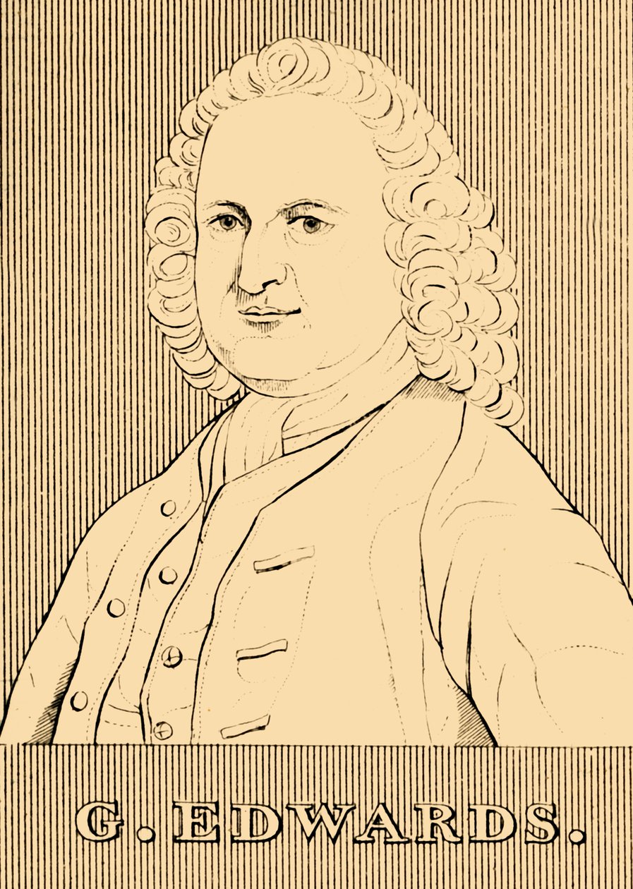 G. Edwards, 1694-1773, 1830 da Unbekannt
