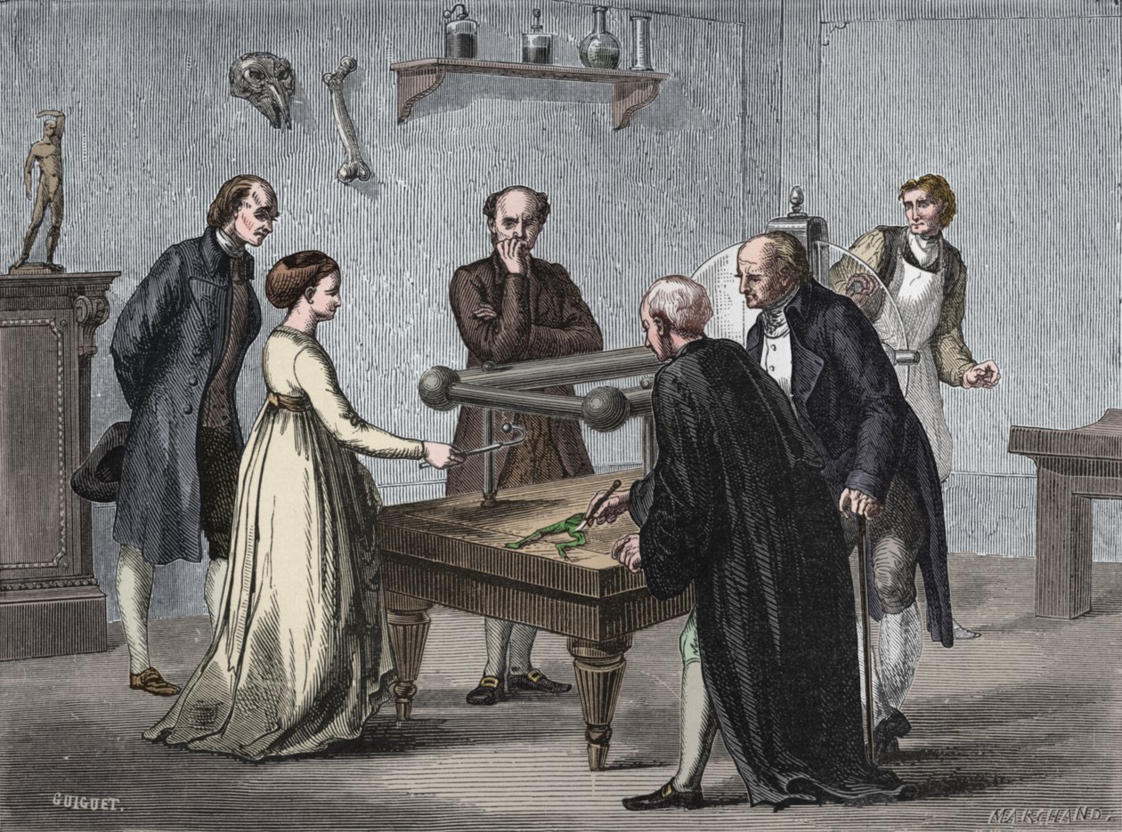 La scoperta di Galvani, 1780 1894 da Unbekannt