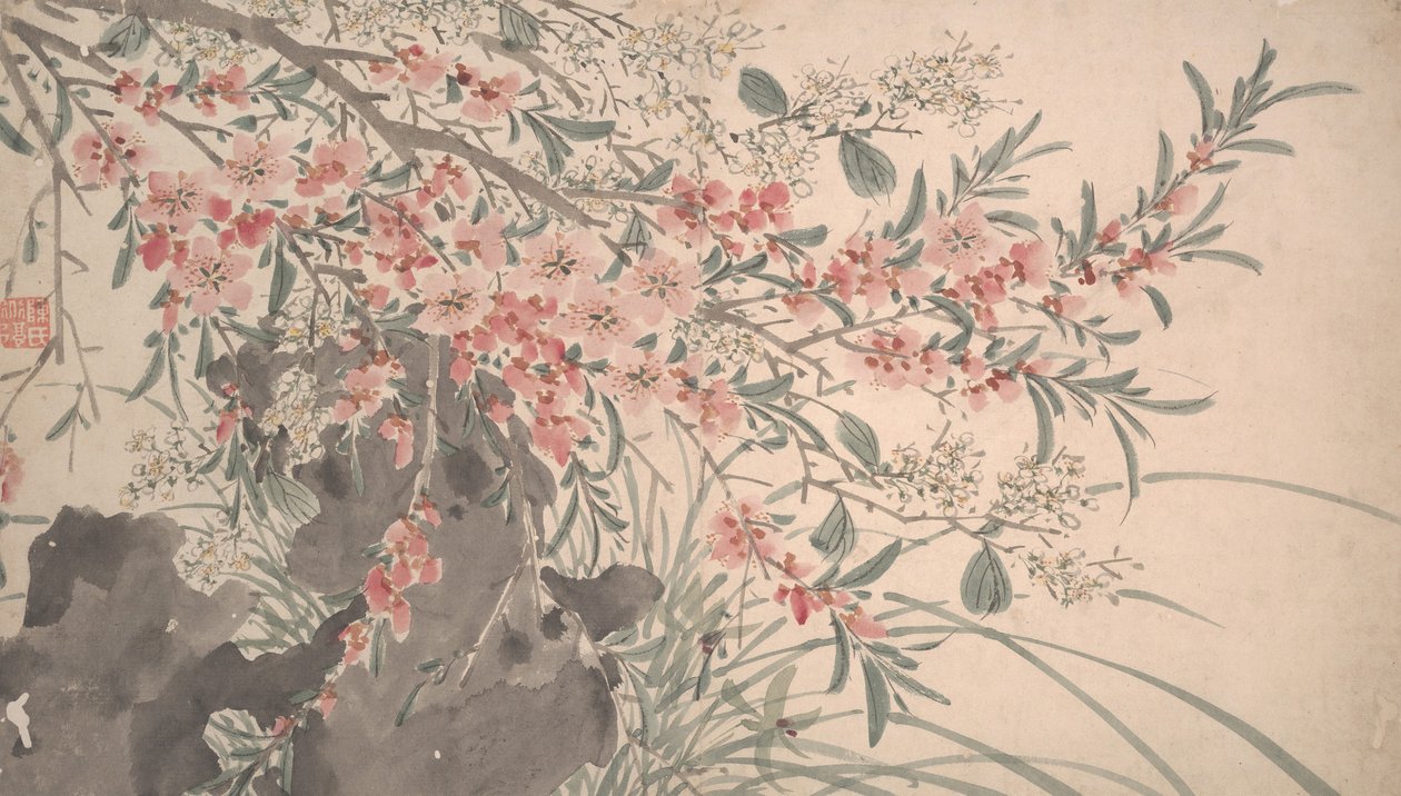 Fiori da giardino, datato 1540 da Unbekannt