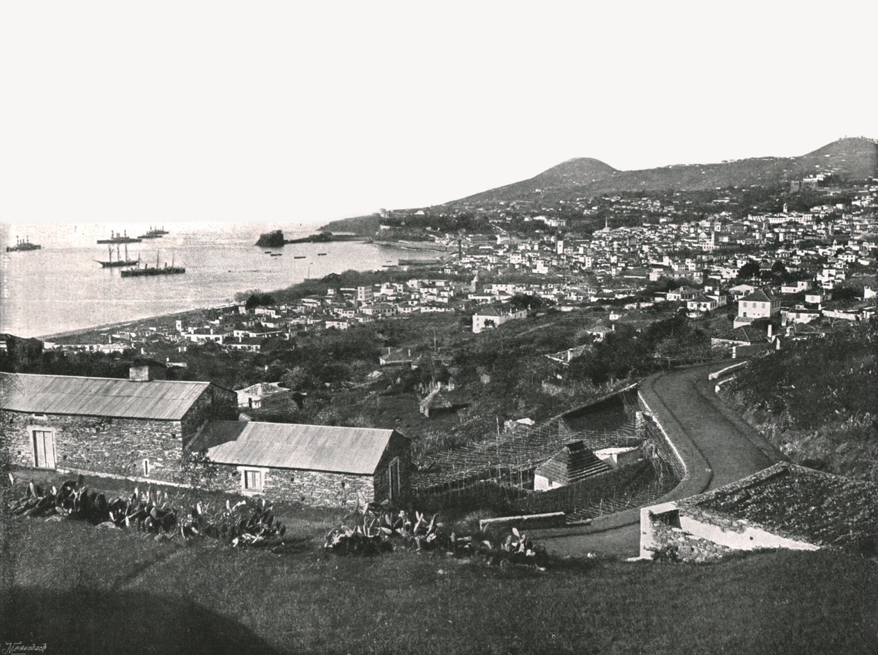 Veduta generale di Funchal, Madeira, Portogallo, 1895 da Unbekannt