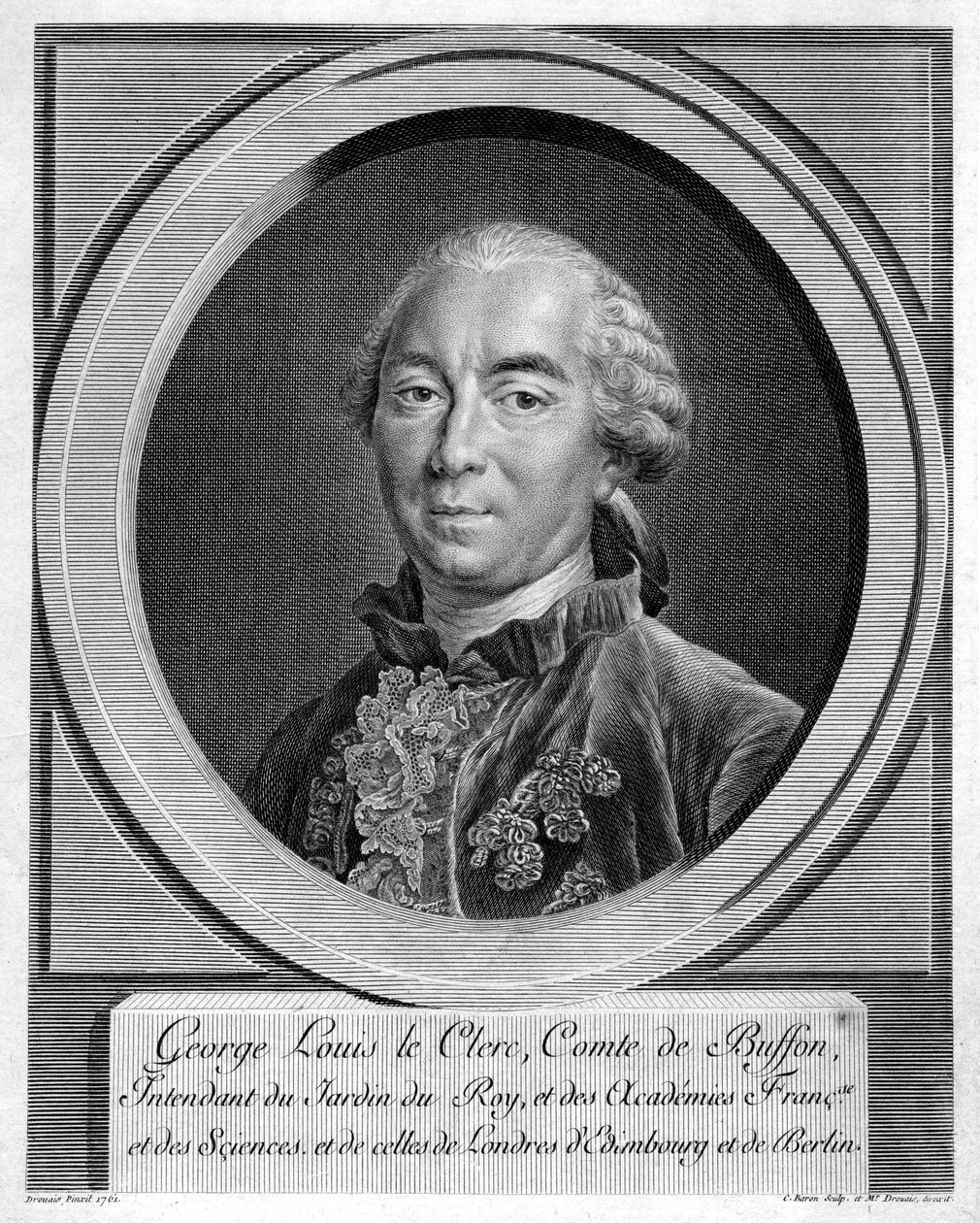 Georges-Louis Leclerc, Conte di Buffon, naturalista francese da Unbekannt