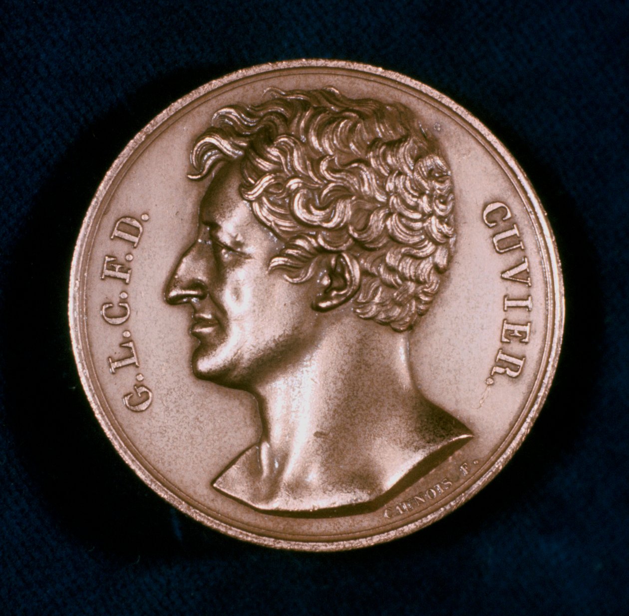 Georges Leopold Chretien Frederic Dagobert, Barone Cuvier, anatomista francese, XIX secolo da Unbekannt