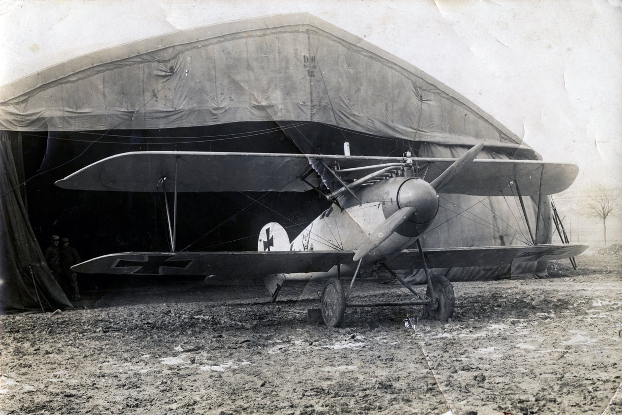 Albatros DV tedesco, Souilly, Francia, 2 gennaio 1918 da Unbekannt