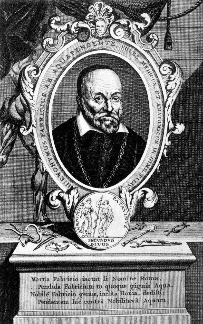 Girolamo Fabrici, anatomista e chirurgo italiano da Unbekannt
