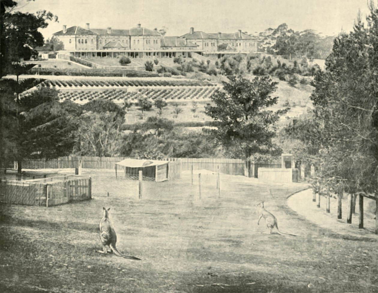 Manicomio di Gladesville, Nuovo Galles del Sud da Unbekannt
