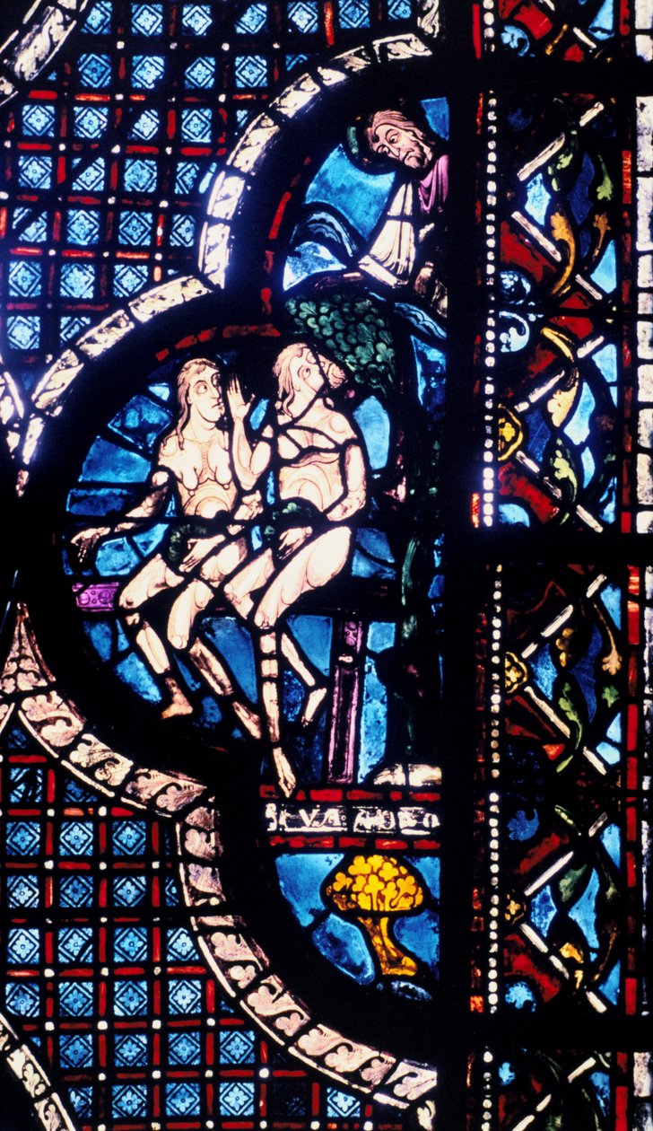 Dio confronta Adamo ed Eva, vetrata, Cattedrale di Chartres, Francia, 1205-1215 da Unbekannt
