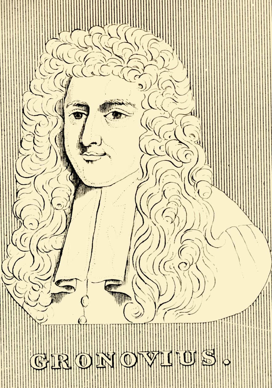 Gronovius da Unbekannt