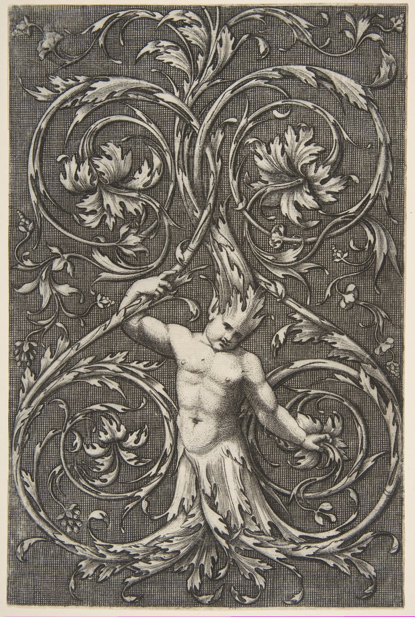 Grottesco con figura maschile con corpo inferiore e testa di volute di acanto, ca. 1515-1600 da Unbekannt
