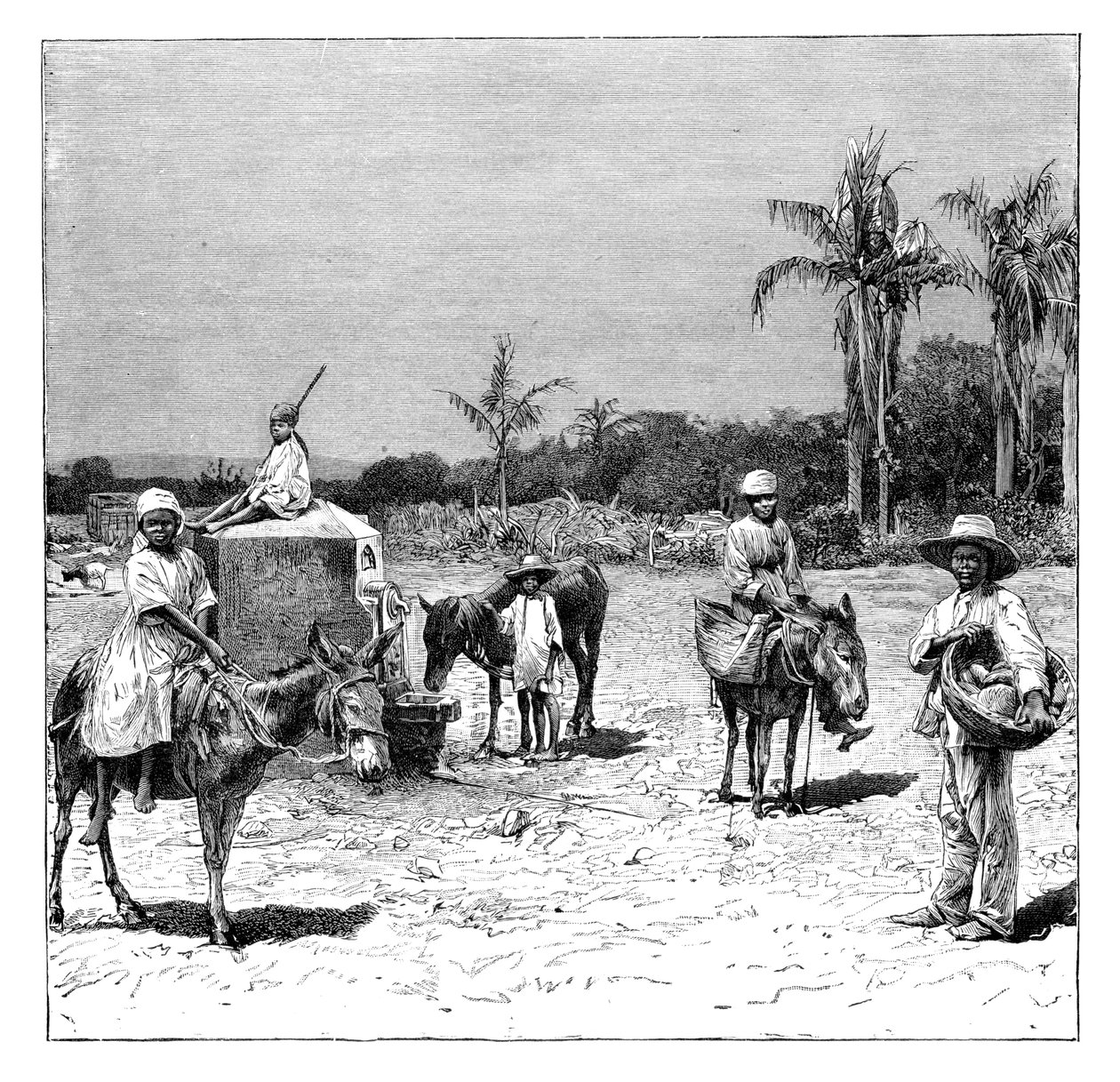 Gruppo di haitiani, c1890 da Unbekannt