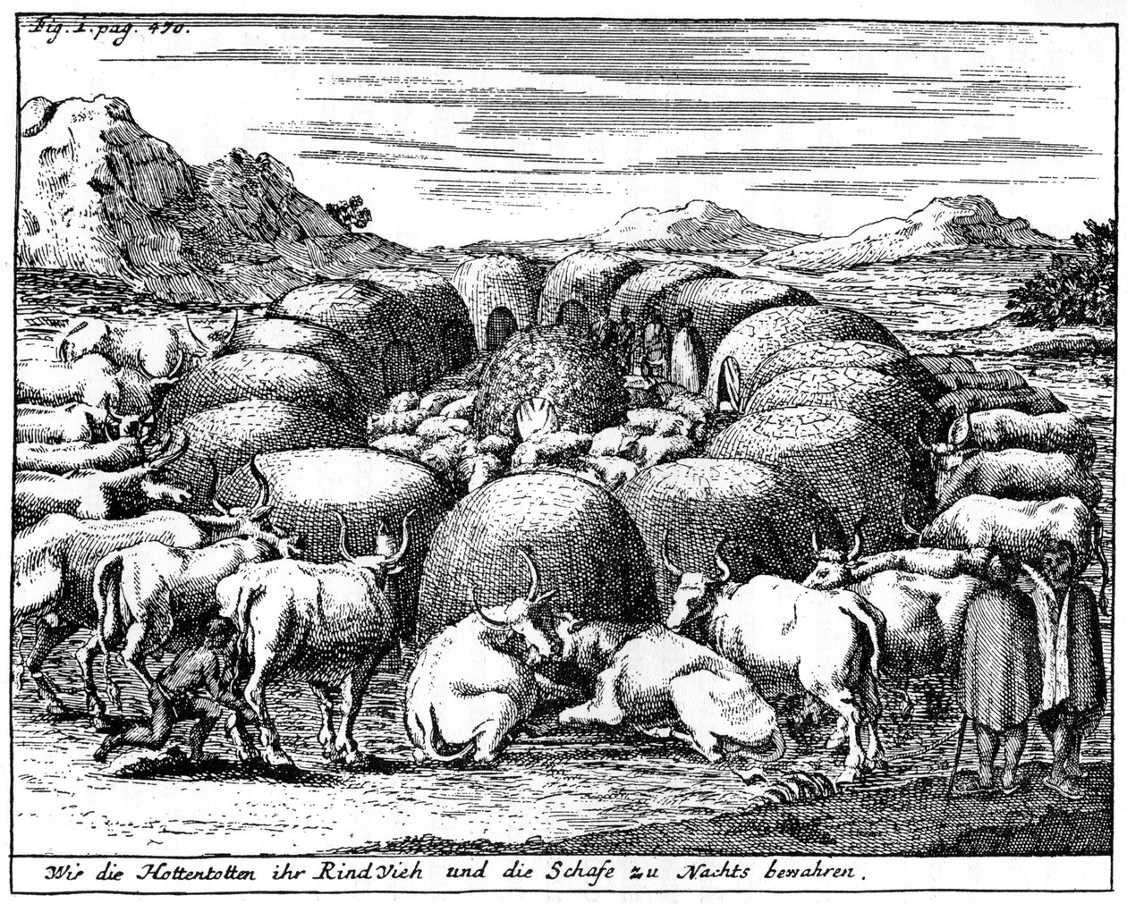 Guardare pecore e bovini di notte, Sudafrica, XVIII secolo, 1931 da Unbekannt