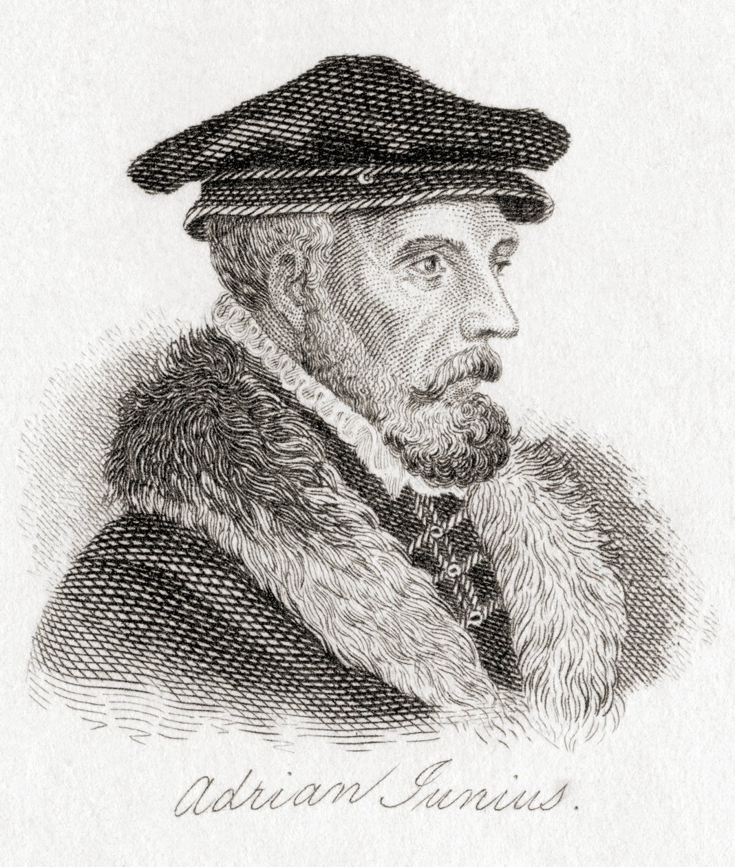 Hadrianus Junius, 1511-1575, alias Adriaen de Jonghe da Unbekannt