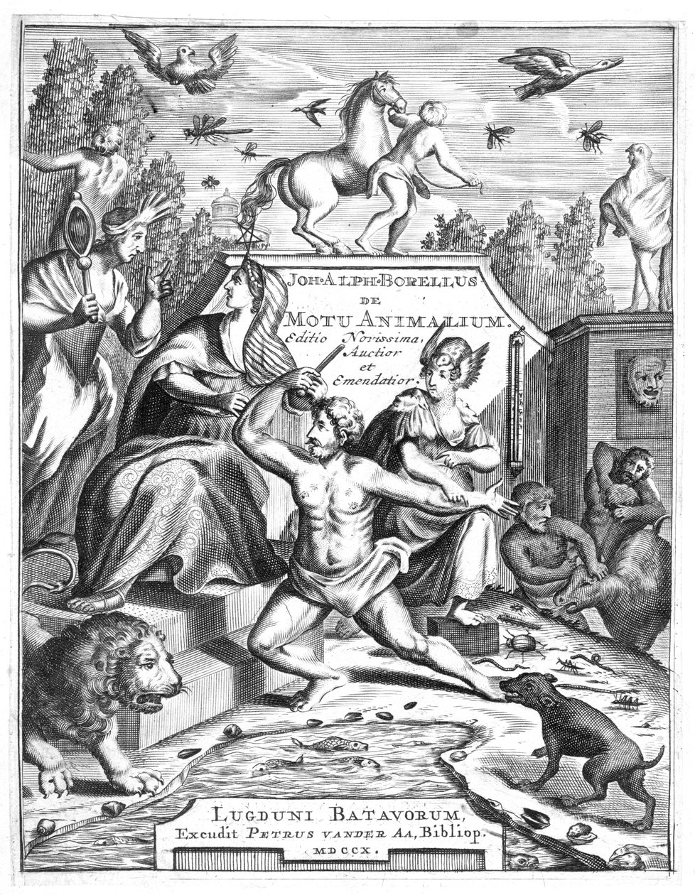Mezza pagina di De Motu Animalum di Giovanni Borelli, 1710 da Unbekannt