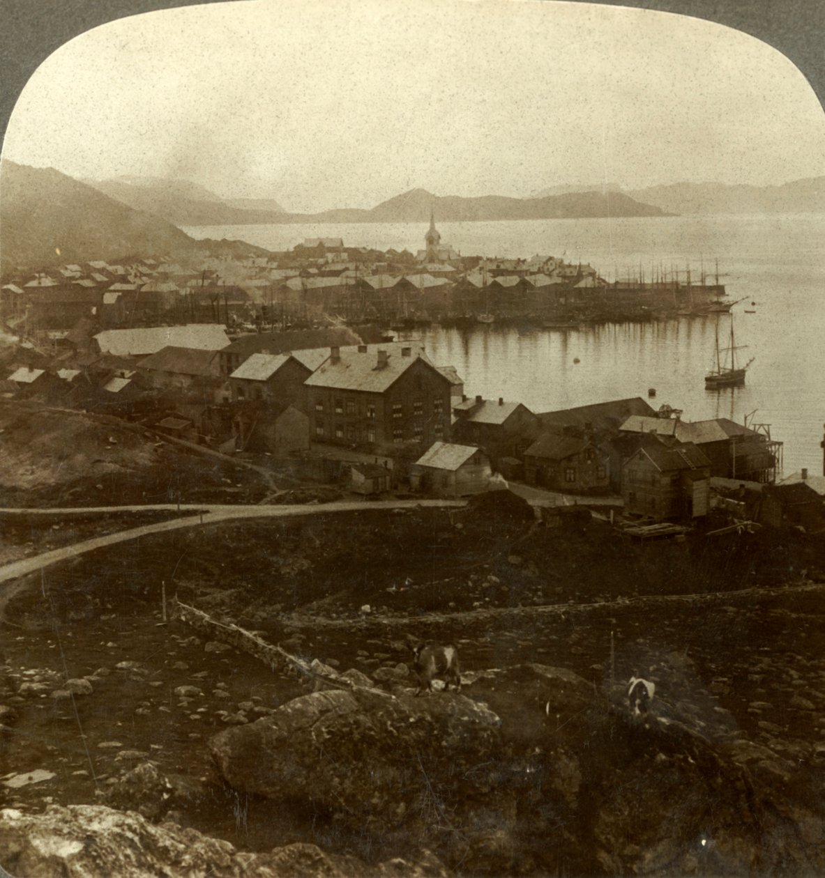 Hammerfest. La città più a nord del mondo - nessun tramonto dal 13 maggio al 29 luglio, Norvegia, c1905 da Unbekannt
