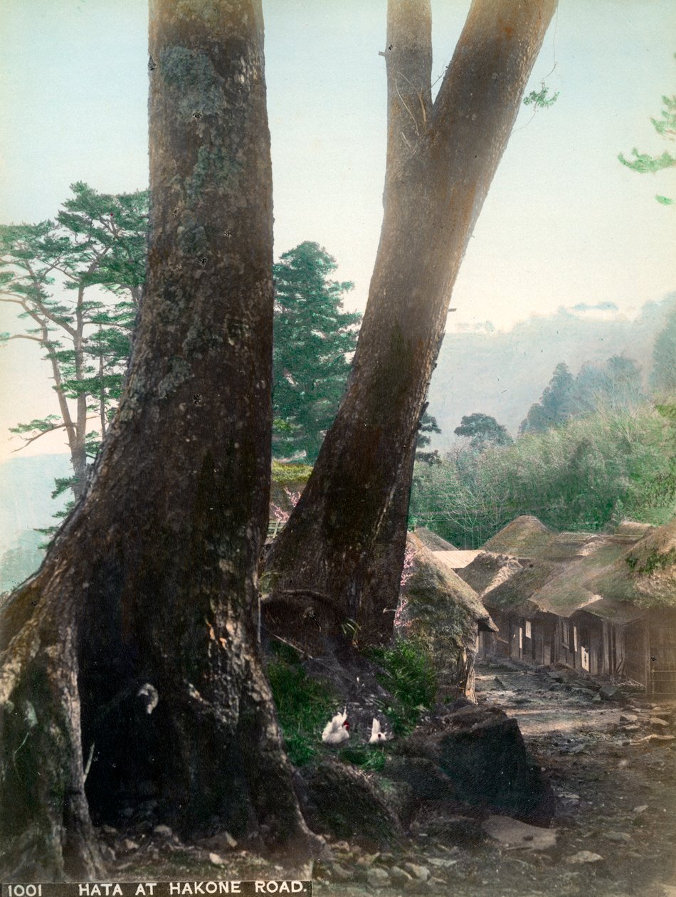 Hata sulla strada di Hakone, Giappone, inizio XX secolo da Unbekannt