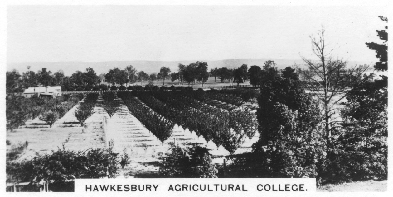 Hawkesbury Agricultural College, Nuovo Galles del Sud, Australia, 1928 da Unbekannt
