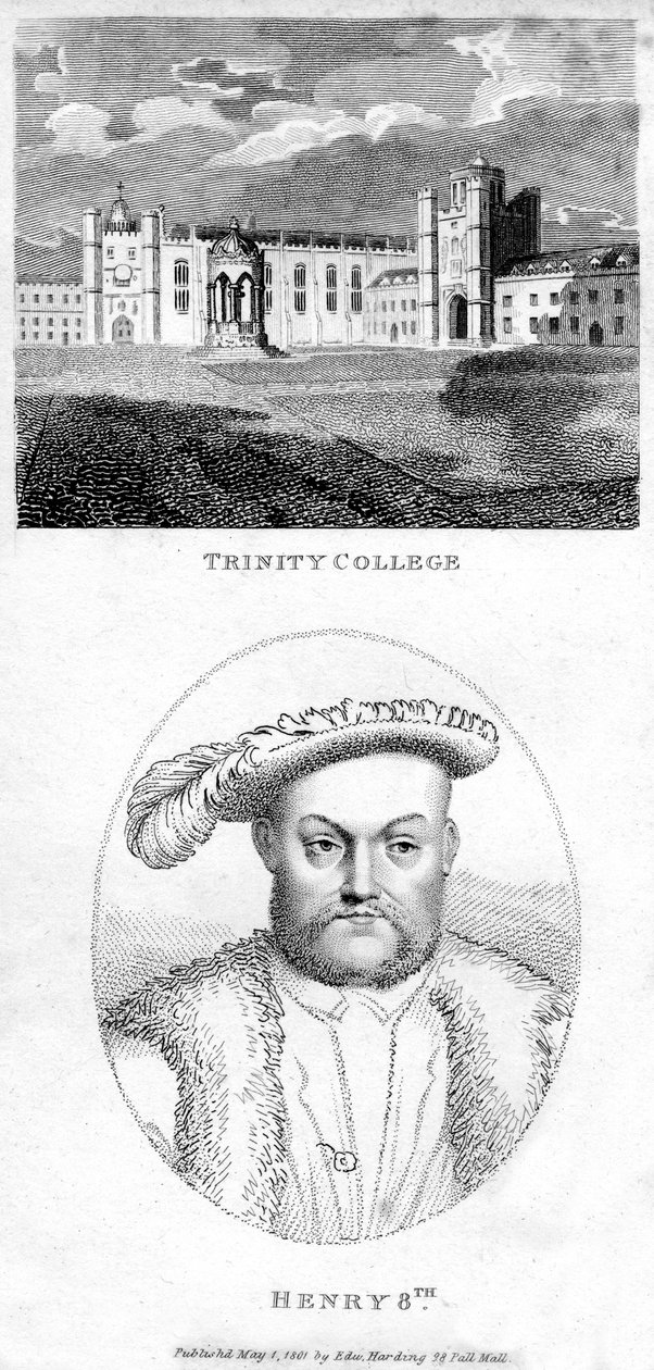 Enrico VIII d