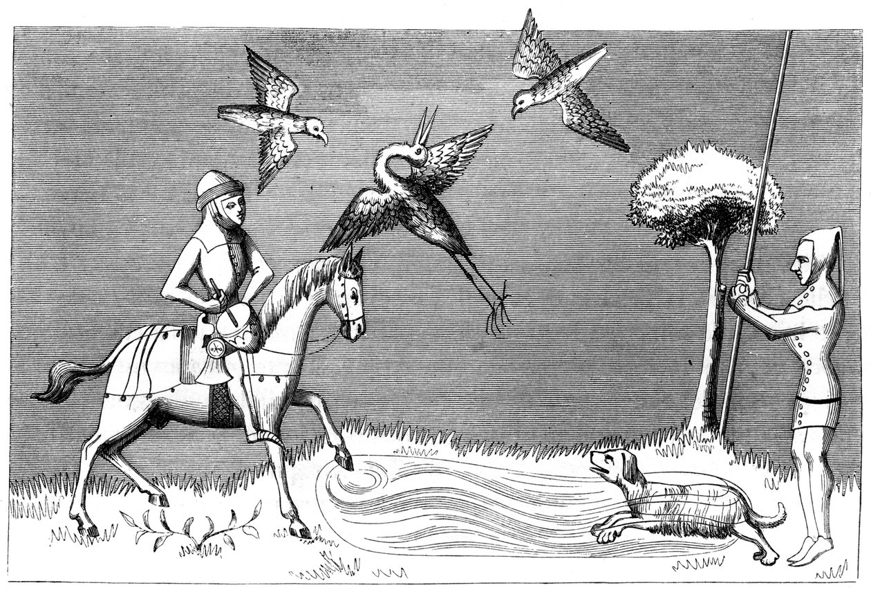Falconeria dell