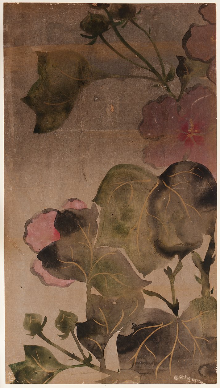 Fiori e foglie di ibisco, periodo Edo, 1615-1868 da Unbekannt