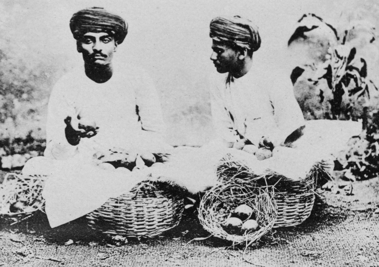 Venditori di frutta indù, India da Unbekannt