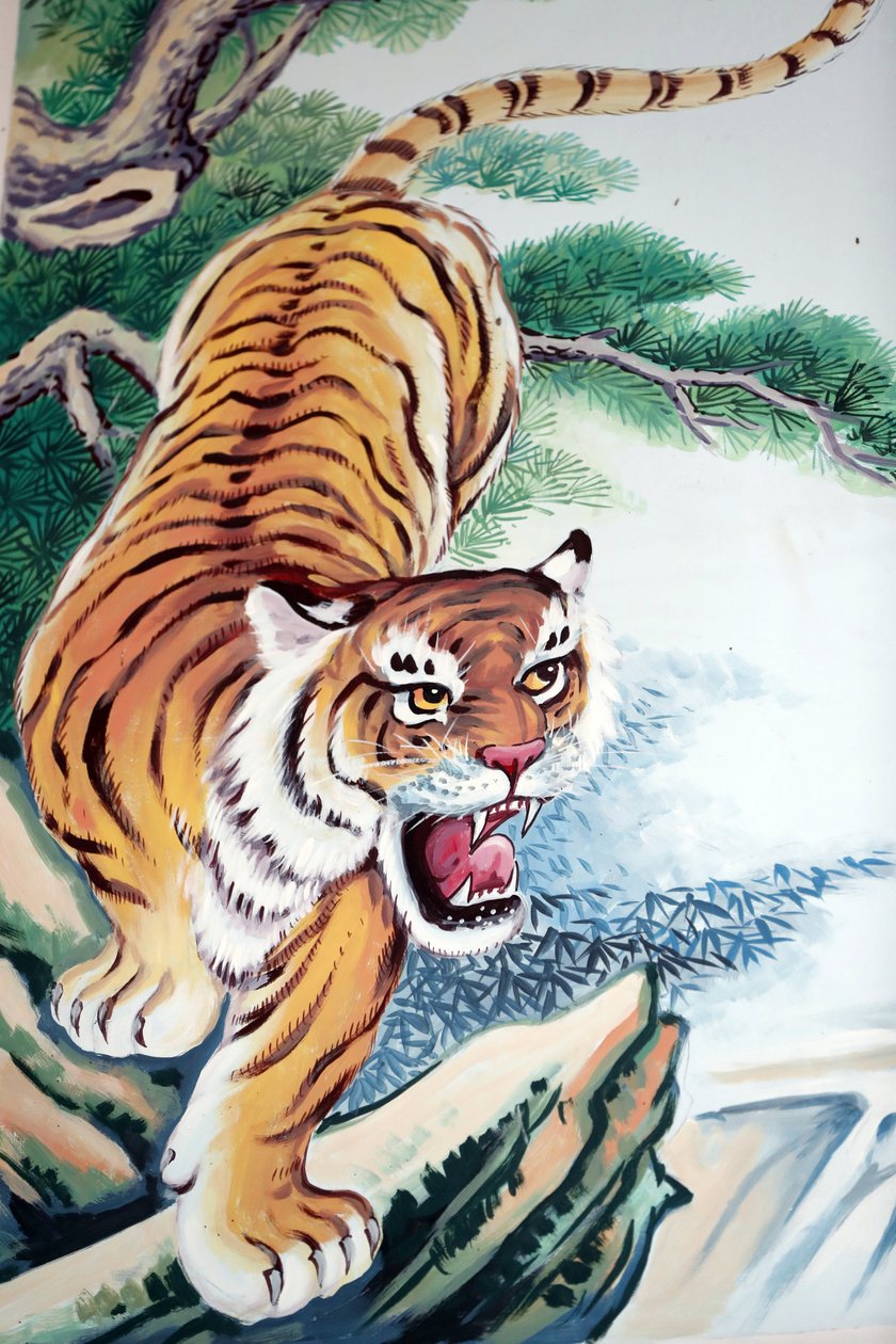 Tempio buddista cinese Hoi Tuong Te Nguoi Hoa. Dipinto di una tigre. Phu Quoc. Vietnam da Unbekannt