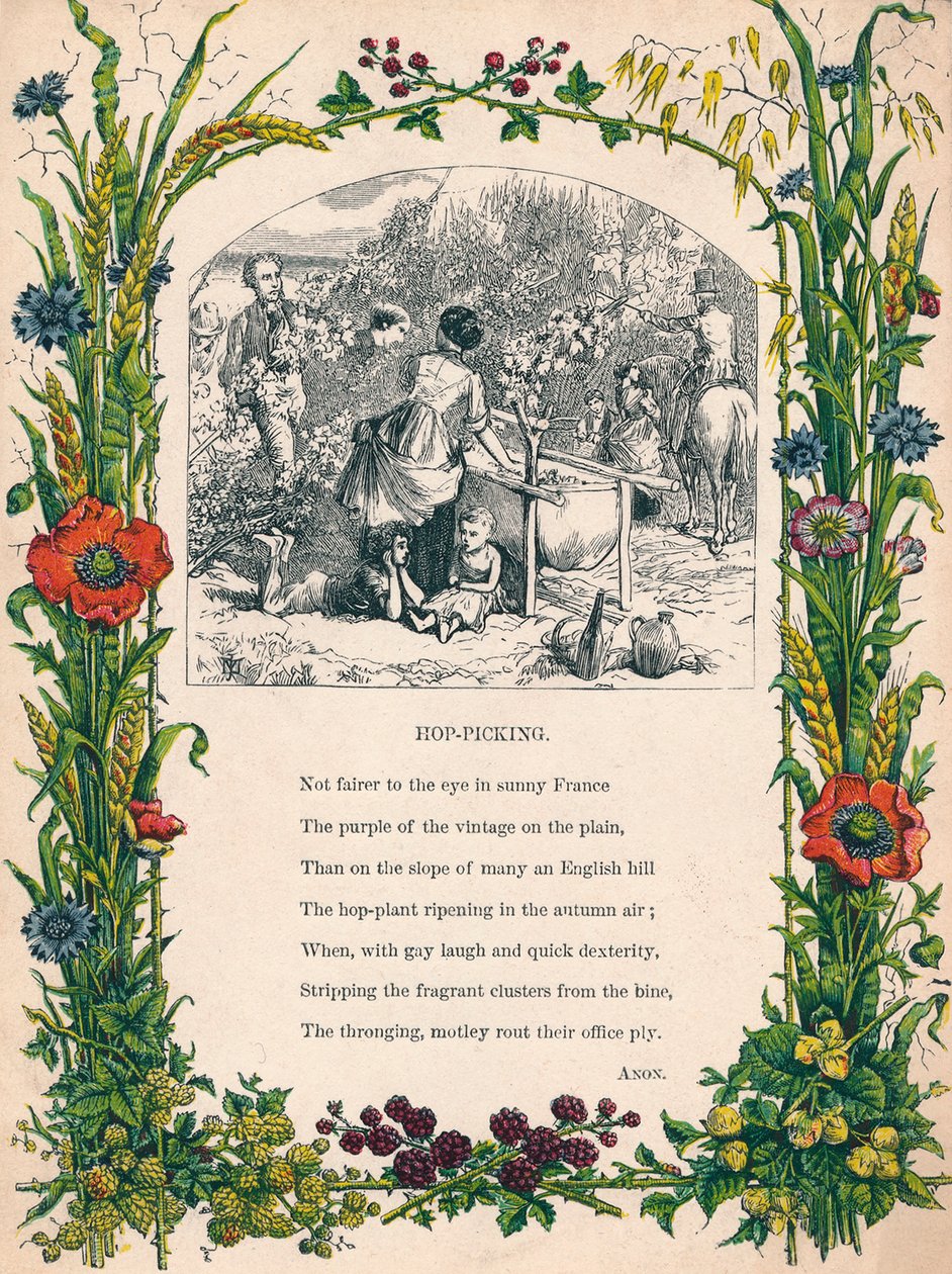 Raccolta del luppolo, c1900 da Unbekannt