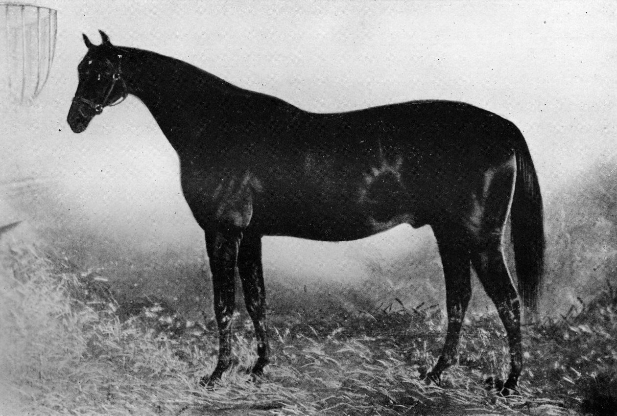 Ospitalità, 19° secolo, 1911 da Unbekannt