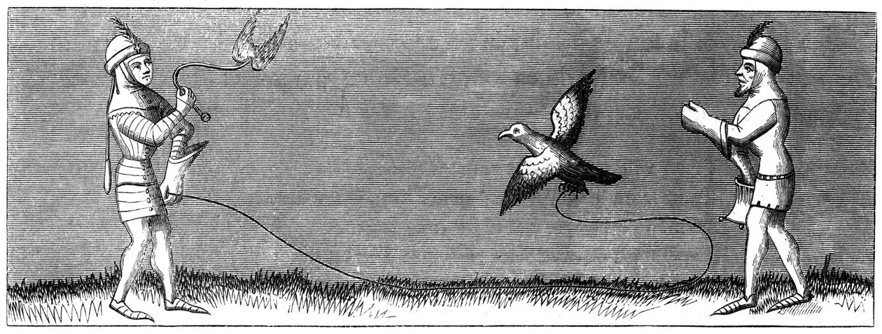 Come addestrare un giovane falco, XIV secolo 1849 da Unbekannt