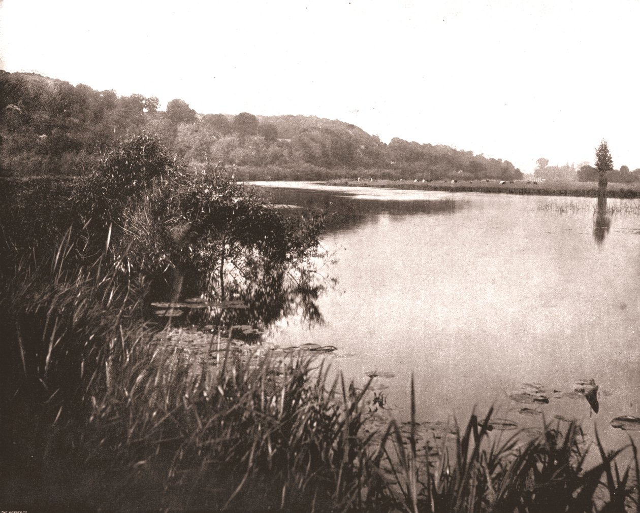 Hurley Reach, fiume Tamigi tra Bisham e Medmenham, Buckinghamshire, 1894 da Unbekannt
