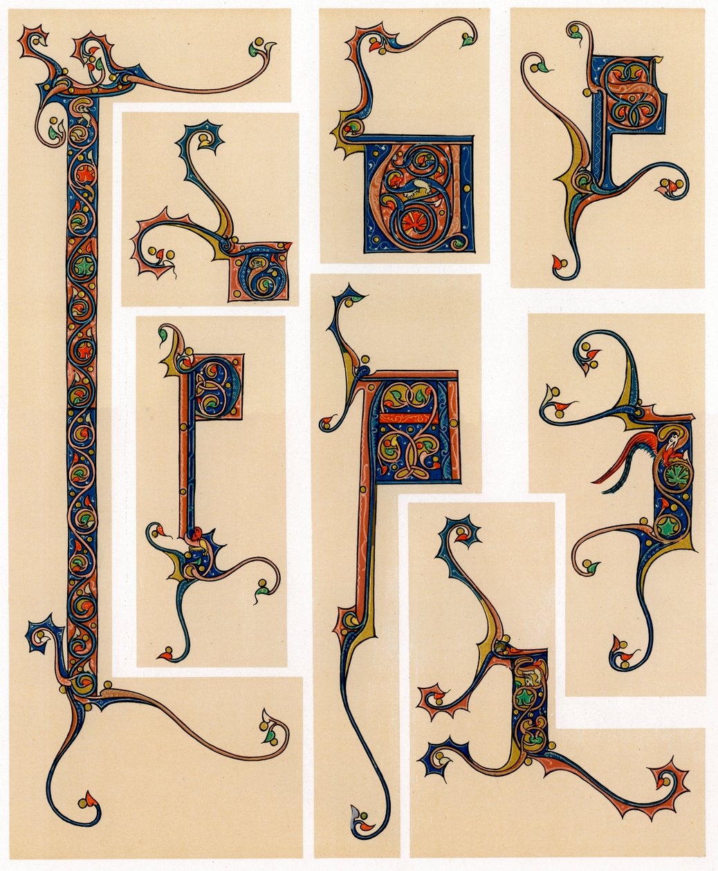 Lettere iniziali illuminate, XIII secolo da Unbekannt
