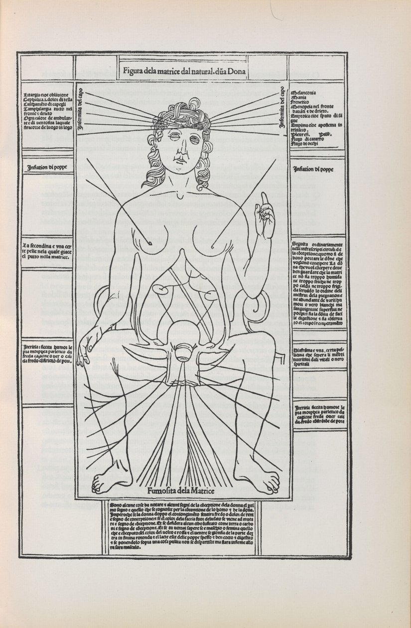 Illustrazione da Fasciculo di medicina di Johannes de Ketham da Unbekannt