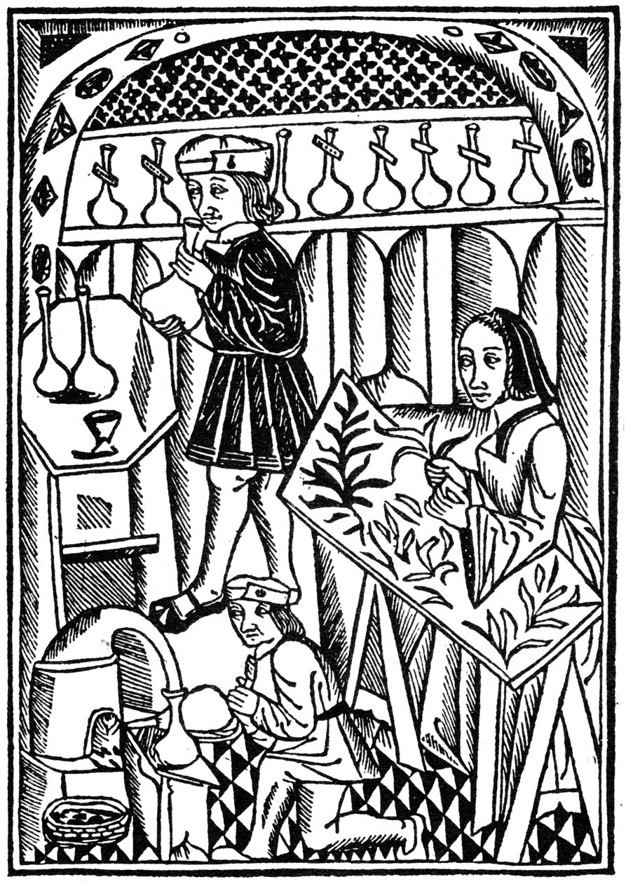 Illustrazione da Le Proprietaire des Choses, 1500 1964 da Unbekannt