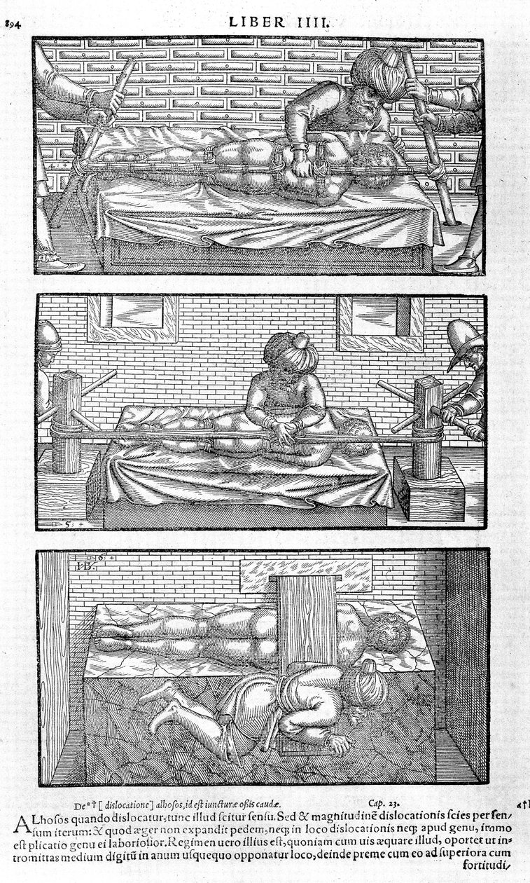 Illustrazione dal Liber canonis de medicinis cordialibus di Avicenna, 1556 da Unbekannt