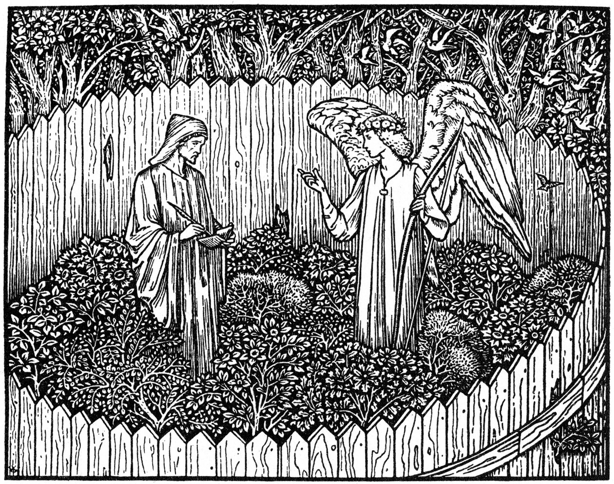 Illustrazione dall