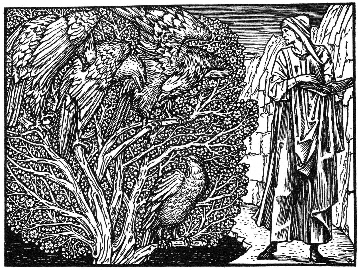 Illustrazione dall