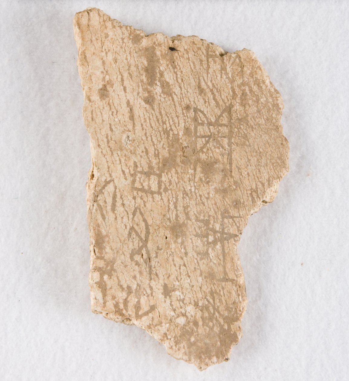 Frammento di osso inciso, osso oracolare, Tarda dinastia Shang, ca. 1300-1050 a.C. da Unbekannt
