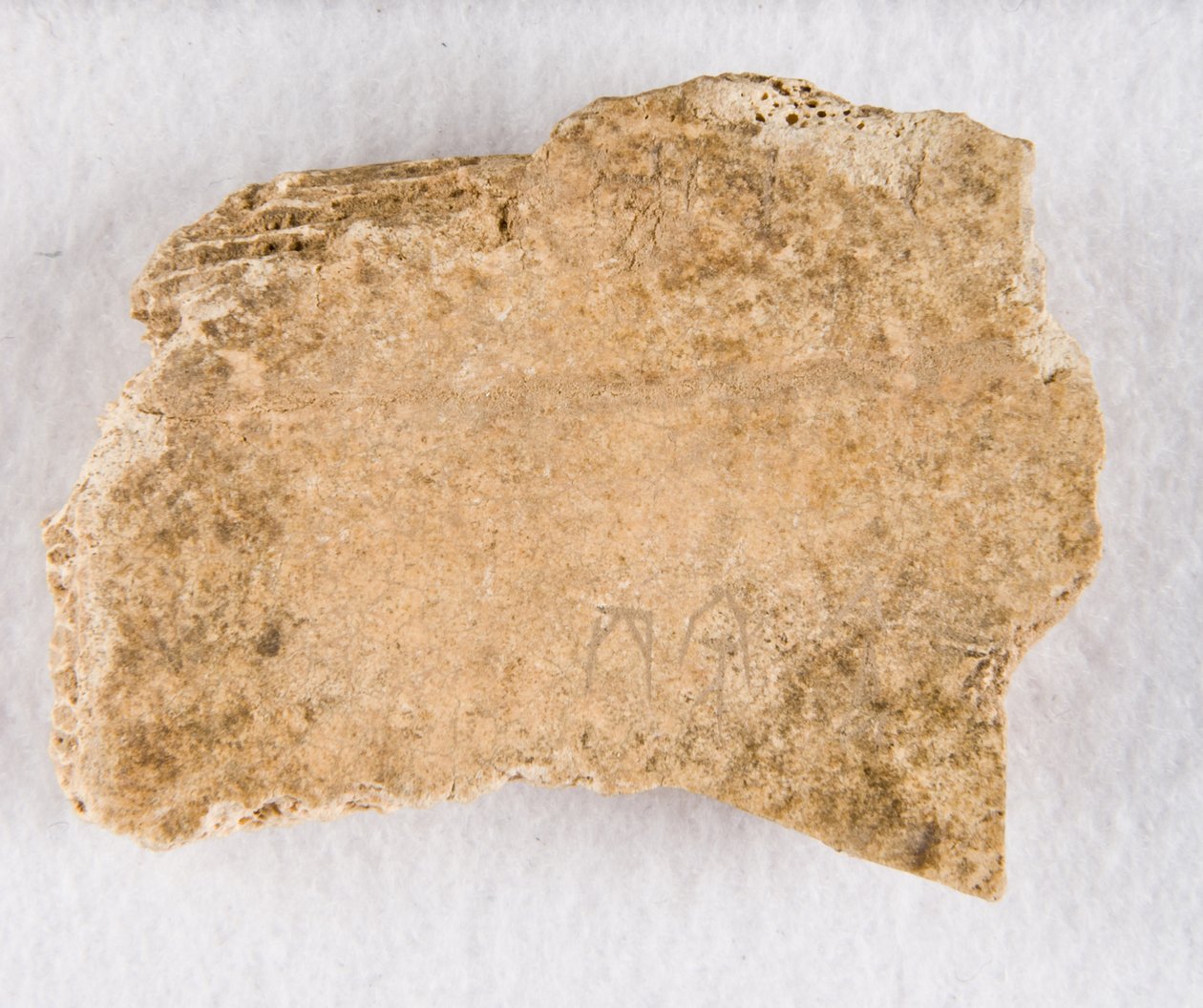 Frammento di osso oracolare iscritto, tarda dinastia Shang, ca. 1300-1050 a.C. da Unbekannt