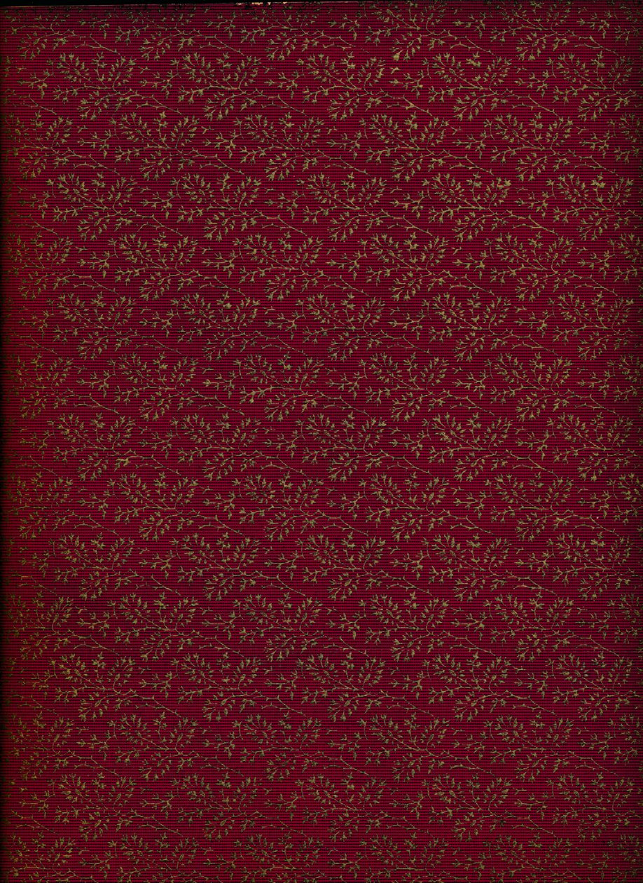 Motivo della copertina interna, 1901 da Unbekannt