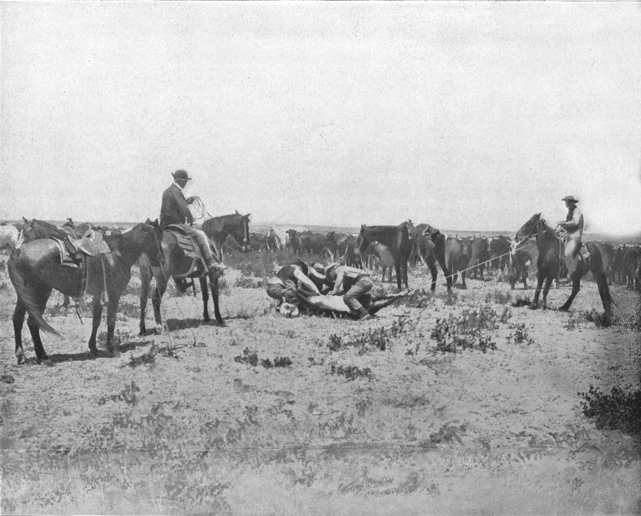 Ispezione di un marchio nelle praterie, USA, c1900 da Unbekannt