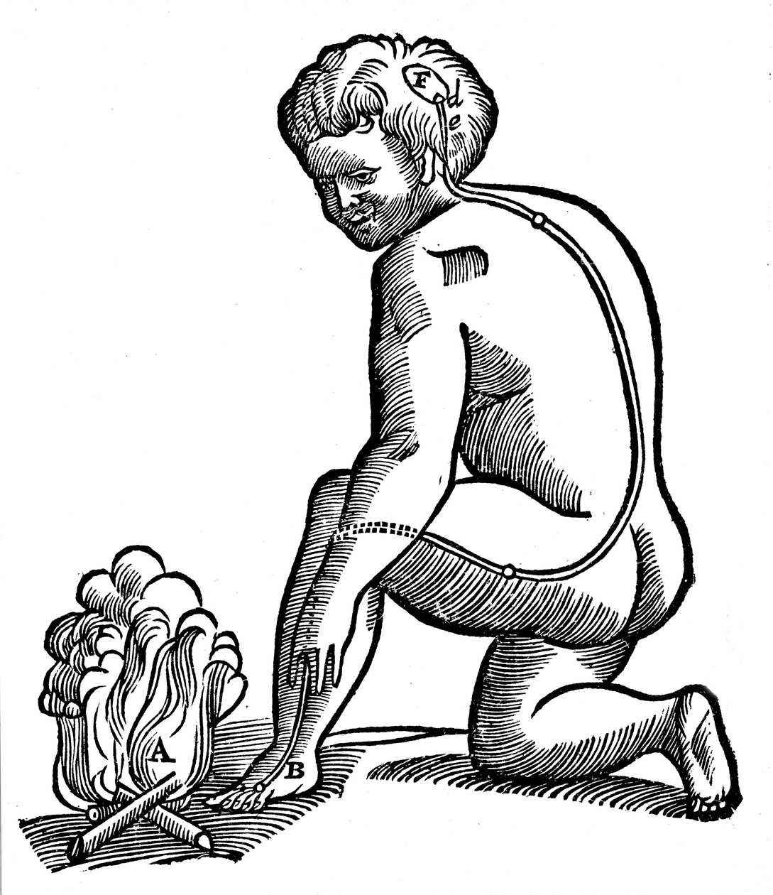 Movimento involontario, idea di Cartesio su come gli impulsi dagli arti raggiungono il cervello, 1692 da Unbekannt