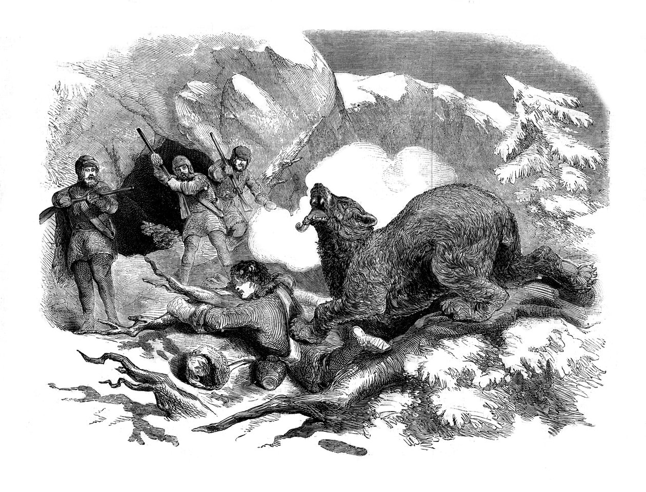 La stretta fuga di Jack Curling da un orso feroce da Unbekannt
