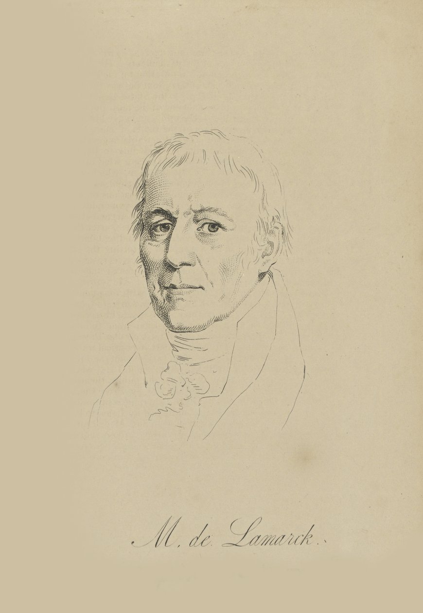 Jean-Baptiste Pierre Antoine de Monet, Chevalier de Lamarck da Unbekannt