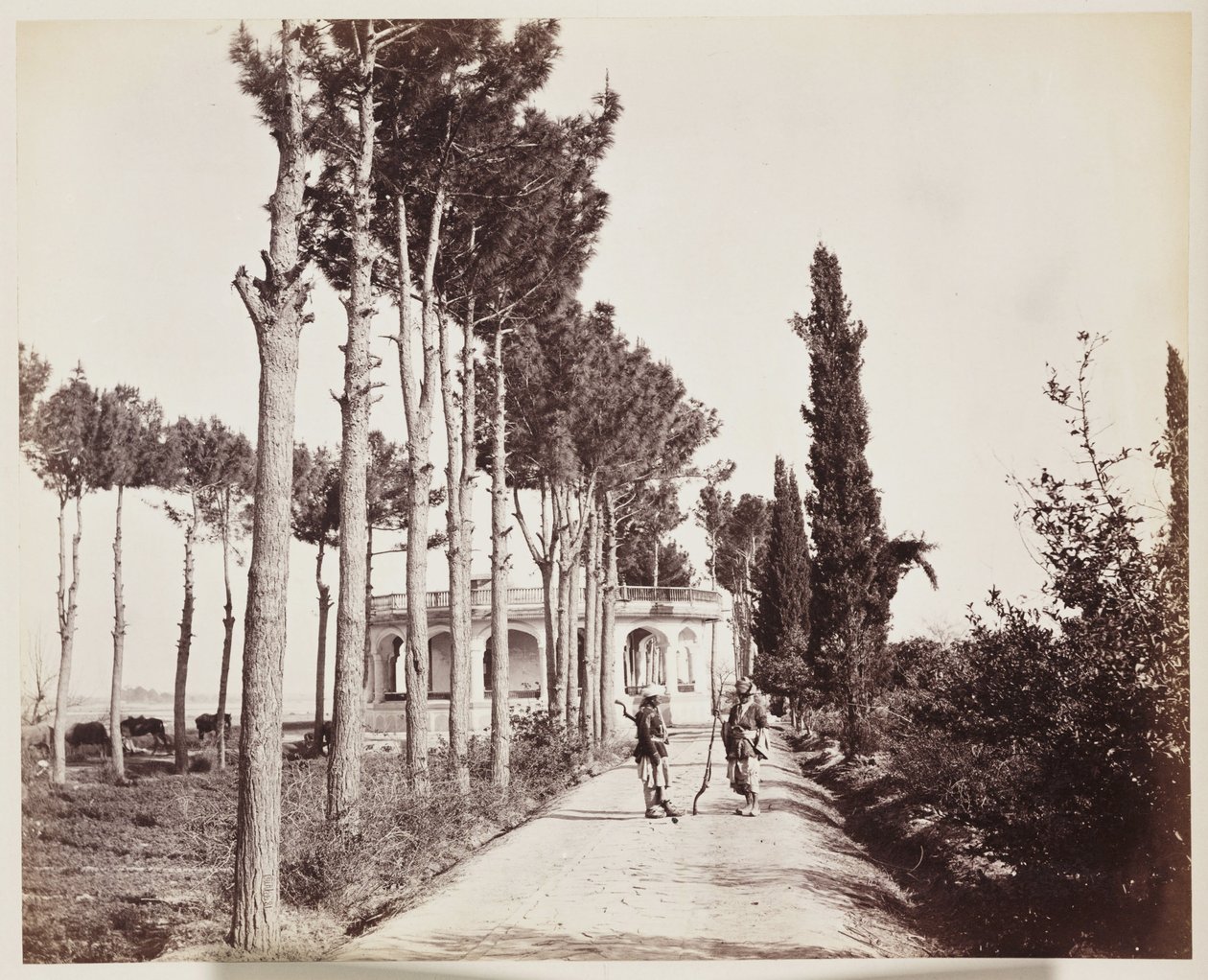 Jellallabad Il marciapiede del giardino dell