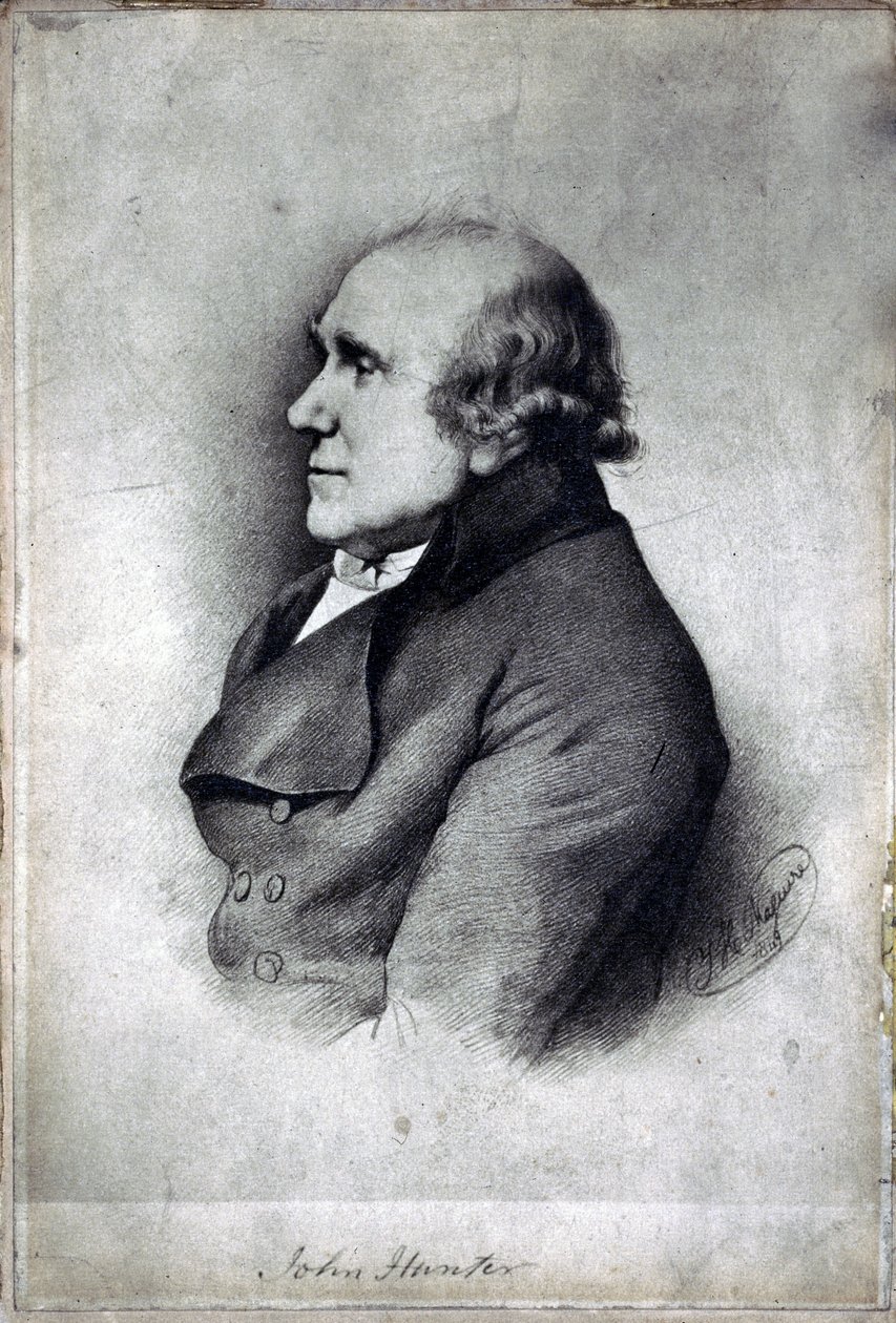 John Hunter, chirurgo e anatomista britannico, c 1770 da Unbekannt