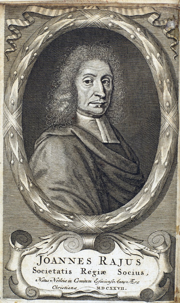 John Ray (Wray), naturalista inglese, c 1700 da Unbekannt