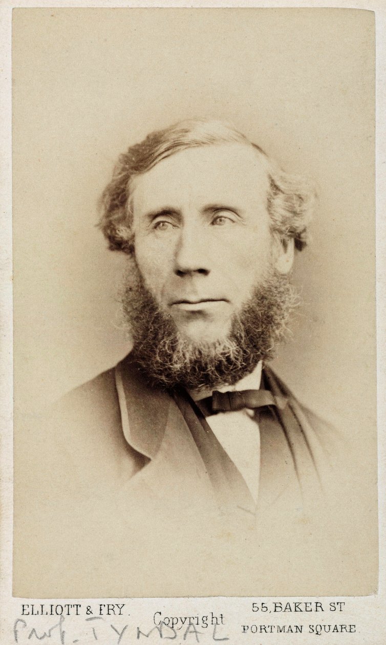 John Tyndall, fisico irlandese, c 1875 da Unbekannt