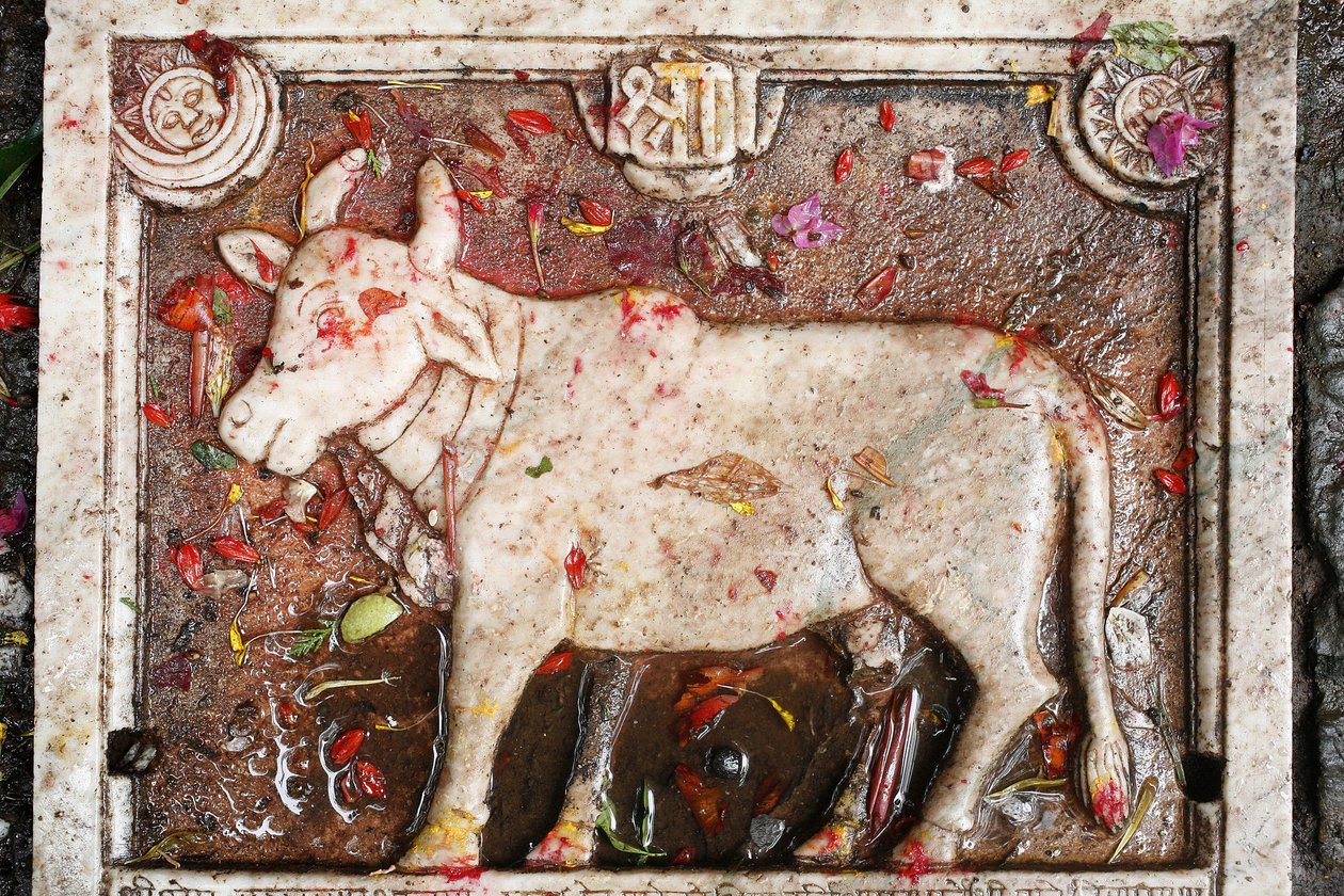 Mucca sacra Kamdhenu, Shesh Narayana, Nepal da Unbekannt