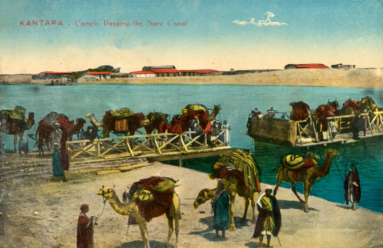 Kantara - Cammelli che attraversano il Canale di Suez da Unbekannt